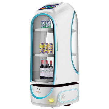 Hot Sale: Quality Delivery Robots, Mannequins, and Programmable Forex Robots for Education