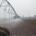 Ottimizzare e regolare i costi operativi più bassi, l&#39;irrigatore economico ed efficiente di facile operazione, economico ed efficiente