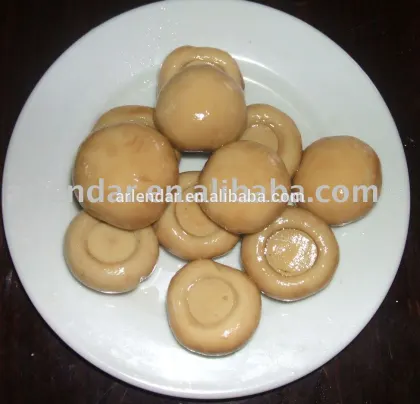 Canned mushrooms(canned champignon,canned food)