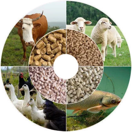 Trusted Brand 2-Year Warranty Feed Processing Machine: Hot-Selling Animal Feed Production Line