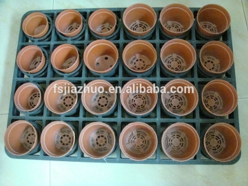 24 hole seeding tray