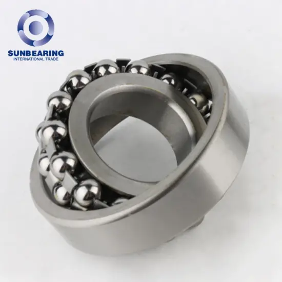 1311 Self-Aligning Ball Bearing Double Row 55*120*29mm