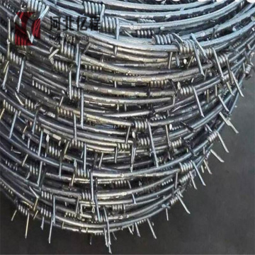 Hot Dipped Galvanized Barbed Wire