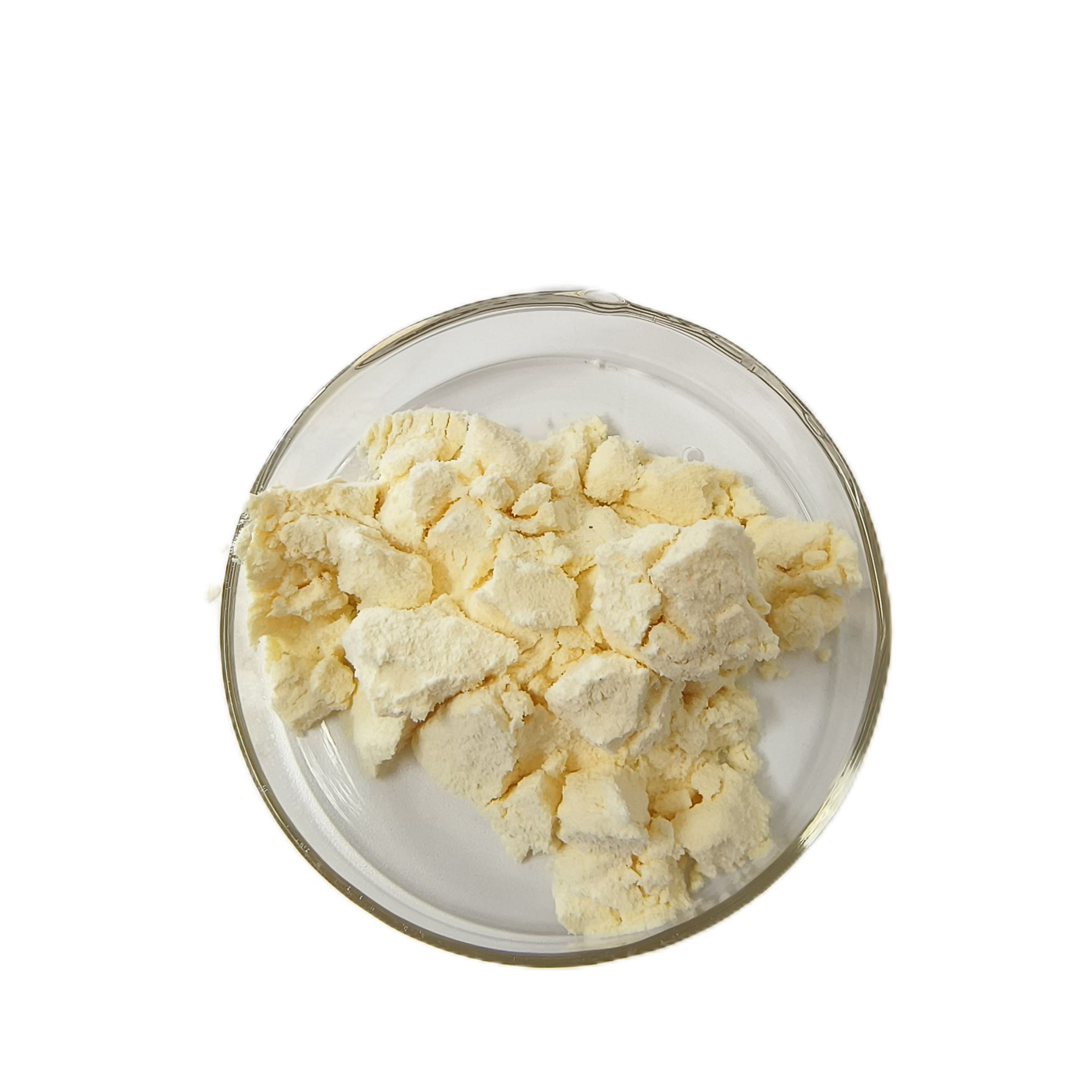 Food Supplement Protein Powder Pea Protein Isolate 85%