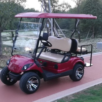 Preço do carrinho de golfe / carros de golfe elétricos baratos