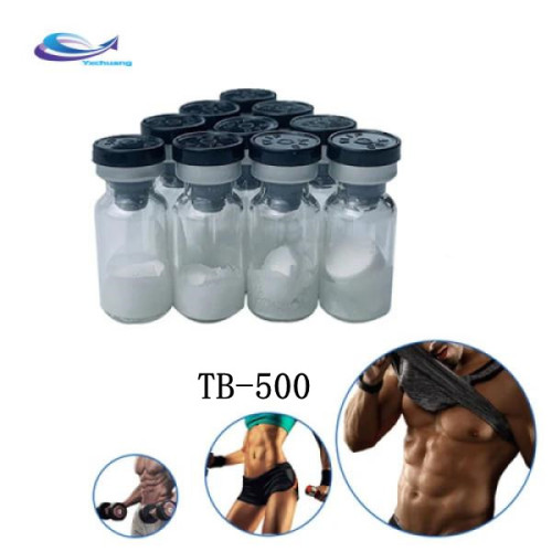 TB500 Powder Popular peptide Bodybuilding powder TB-500 Manufactory