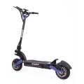 Offroad Electric Scooter 2 gulong