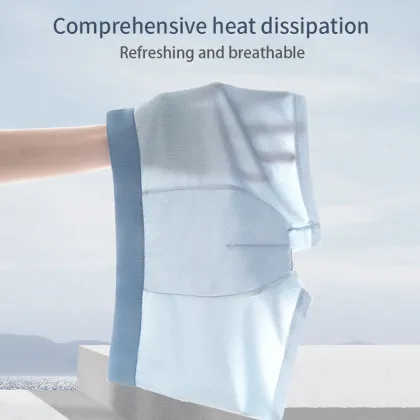 Ice Silk Men's Boxer Briefs - Solid Slim Underwear