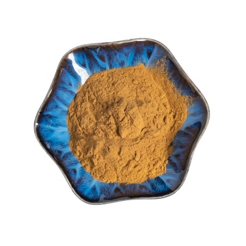 factory supply passion fruit extract powder 10:1 passiflora coerulea extract