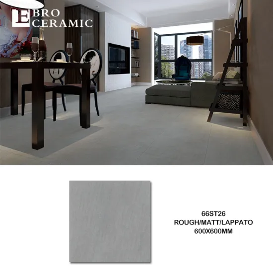 Foshan Ebro Ceramic 600x600 Paver Porcelain Floor Tiles