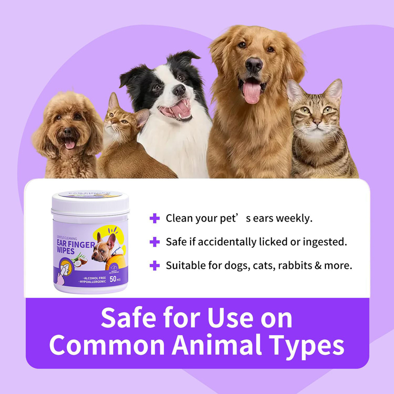 Hdff342b65a0b48aebbec097ee7be54c3T