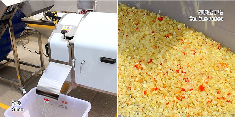 fruit and vegetable processing equipment