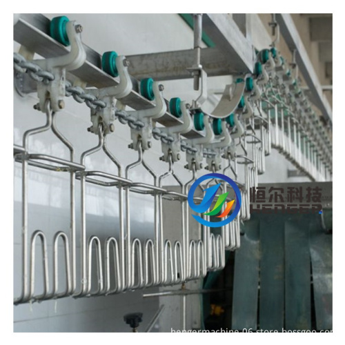 Automatic Poultry Slaughtering Equipment: Plucking Machine and Screw Cooler