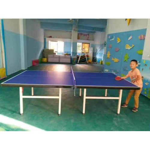 Tavolo da ping pong singolo pieghevole