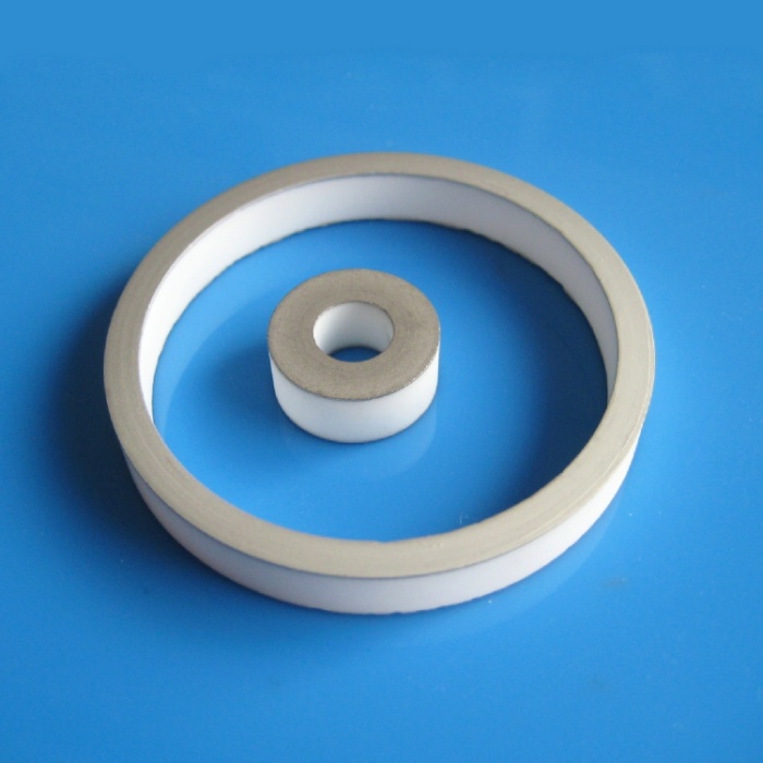 Hochgenauige Alumina -metallisierte Keramikscheibe