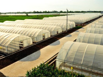 Large Span Single Unit Greenhouse