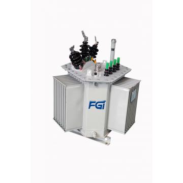Three-dimensional Oil Immersed Transformers