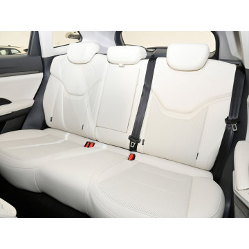 Luxury used car HAVAL h6