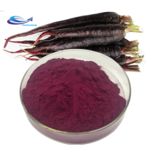 Wholesale Price Purple Carrot Juice Powder