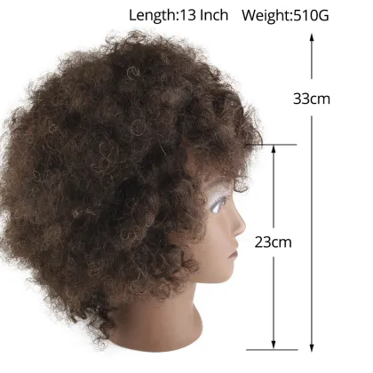 AliLeader Professional 100% Human Hair Hairdressing Training Head Barber Afro Training Mannequin Doll Head with Natural Hair