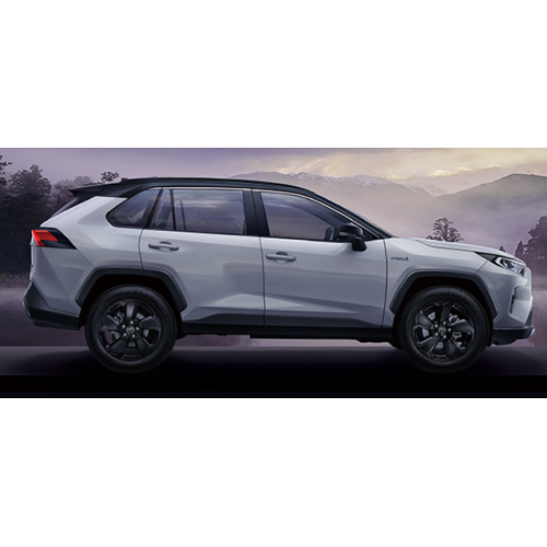 2024 Toyota RAV4 2.0L CVT 2WD мода