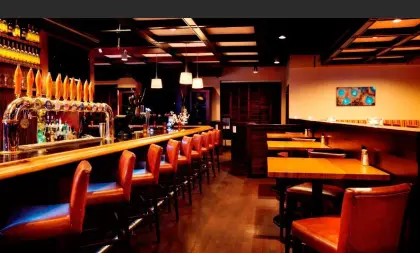 Dining Chair Table For Hotel Public Furniture