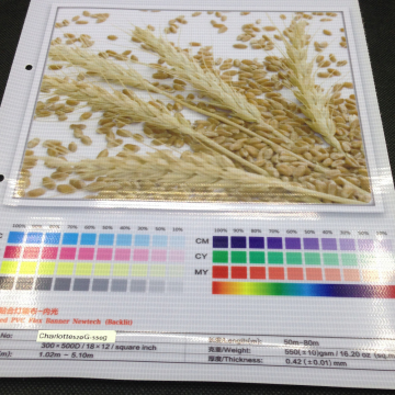 cold lamination Backlit pvc banner printing