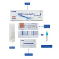 Covid 19 Antigen kolloidal Goldtestkassette