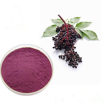 Meilleur prix biologique Black Elderberry