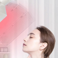 Máquina de terapia de luz LED facial Omeina PDT para el cuidado de la piel