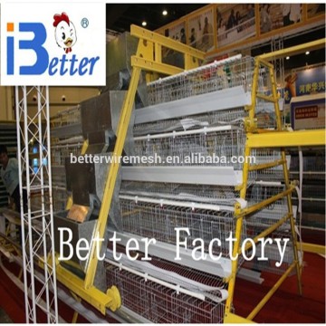 BETTER FACTORY direct supply design automatic layer chicken cages(factory price)