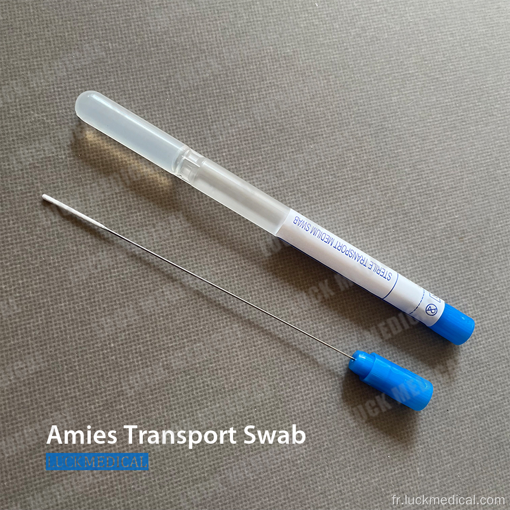 AMIES Transport Écouvillon en acier inoxydable mince