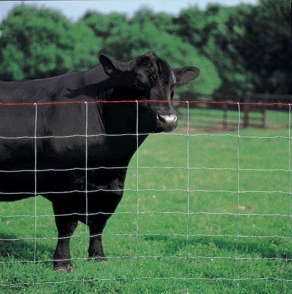 galvanized field fence