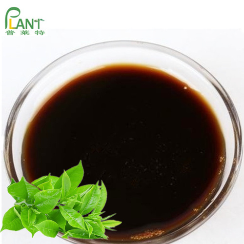 Concentrado líquido de extracto líquido de té verde de alta calidad
