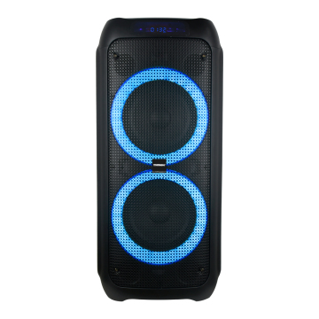Temeisheng A208-07 Portable Partybox 1000 - Dual 8'' Woofer Karaoke DJ Soundbox with RGB Lights