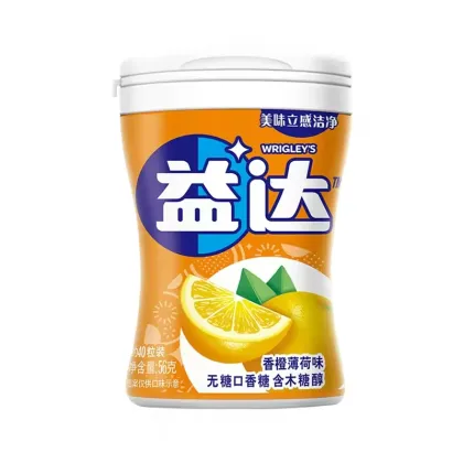 Yida Sugar-Free Xylitol Chewing Gum, 56g, Variety of Tastes (Mint & Fruity), Bottled