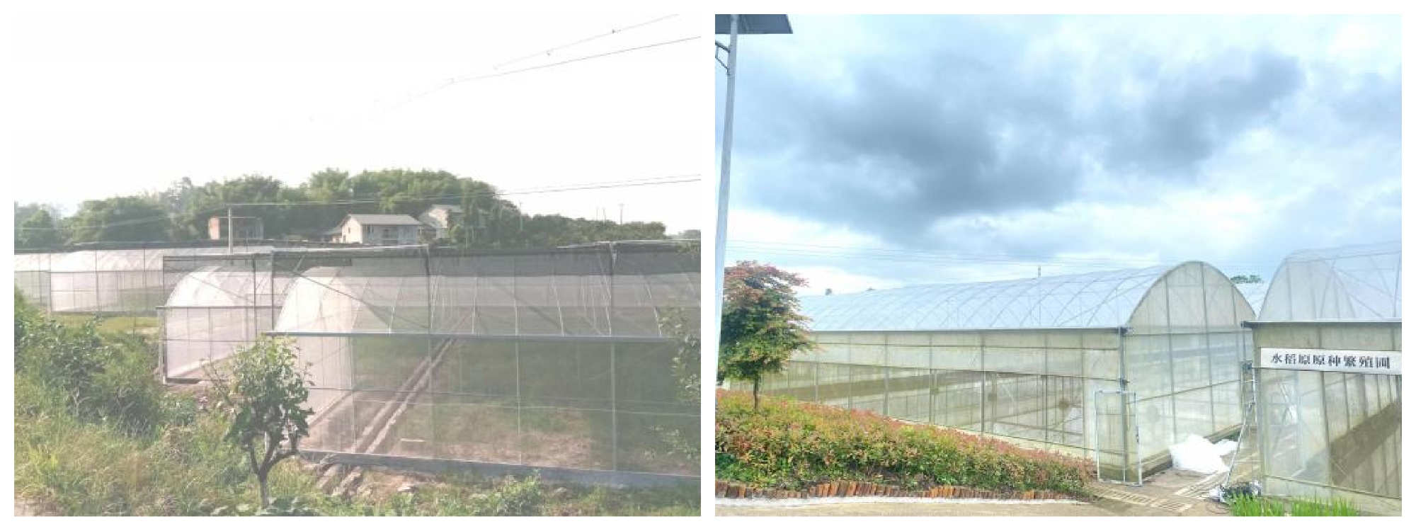 Insect-proof net house