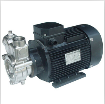 High Efficiency Ozone Water Mixing Pump - SS304 Micro-bubble Pump