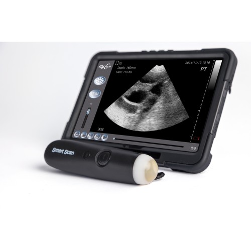 SmartScan C ultrasound for swine pregnancy test