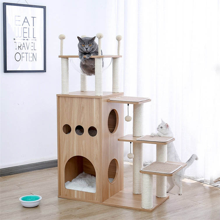 cat house with cat tree