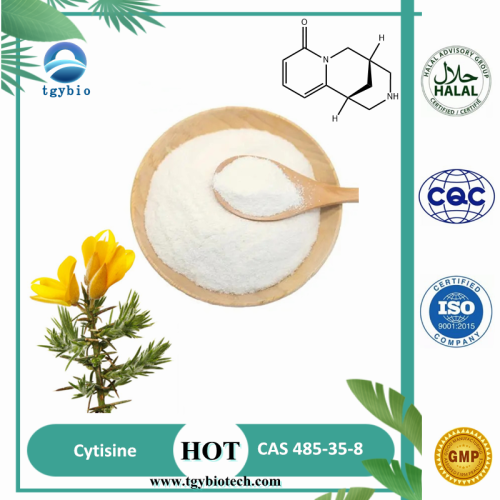 Hot Sale Supply Cytisine 98% For Health Product