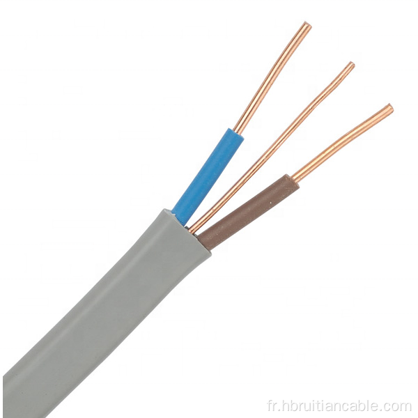 Câble filaire en cuivre PVC à Terre plate PVC