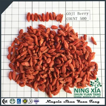 Goji Berry From Ningxia