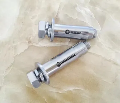 Stainless Steel Concrete Anchors Studs