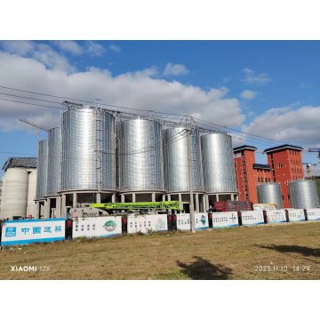 Reisspelz-Stahlsilo mit großer Kapazität zum Brauen von Spirituosen
