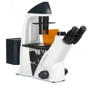 Microscope de laboratoire inversé biologique et microscope à fluorescence à vendre
