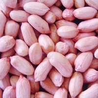 Peanut