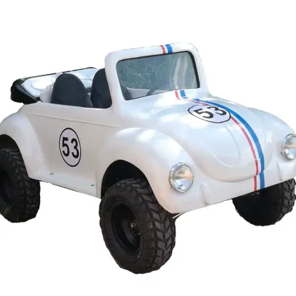Hot Sale Petrol Mini Buggy 2WD Quad ATV
