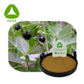 atropa belladonna extract hyoscyamine 1 ٪ مسحوق