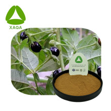 Atropa belladonna extrait hyoscyamine 1% de poudre